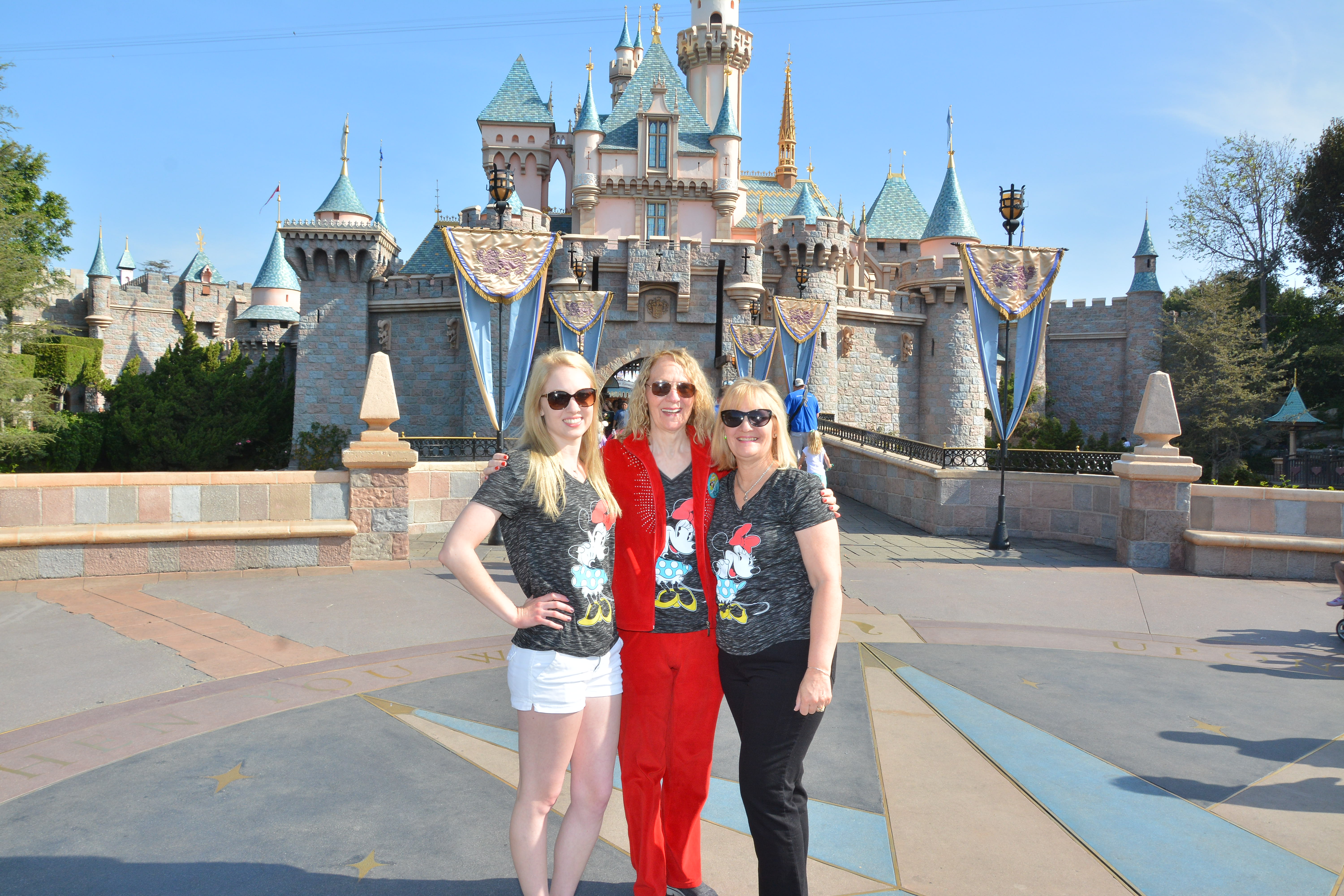 PhotoPass_Visiting_Disneyland_Park_8224179002